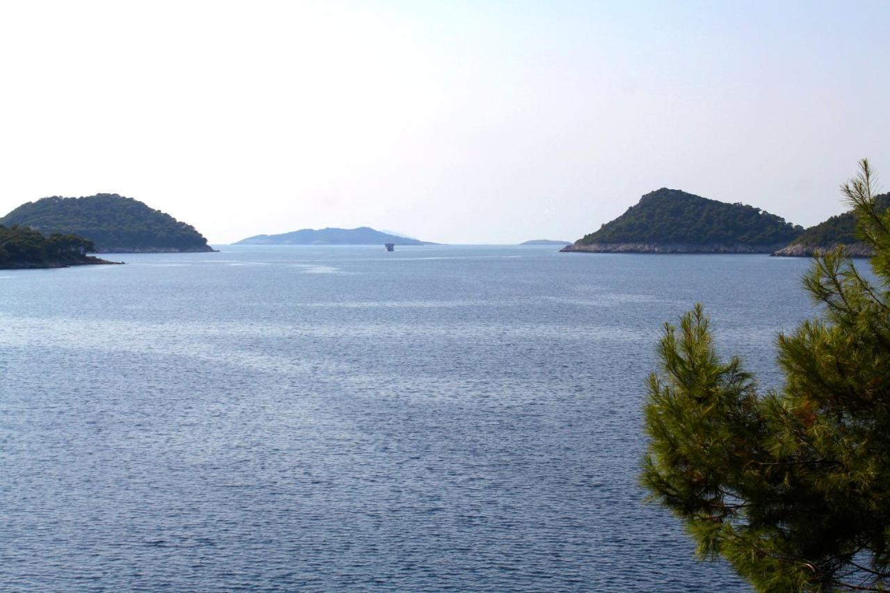 Apartments By The Sea Ubli, Lastovo - 8354 Uble Exteriör bild